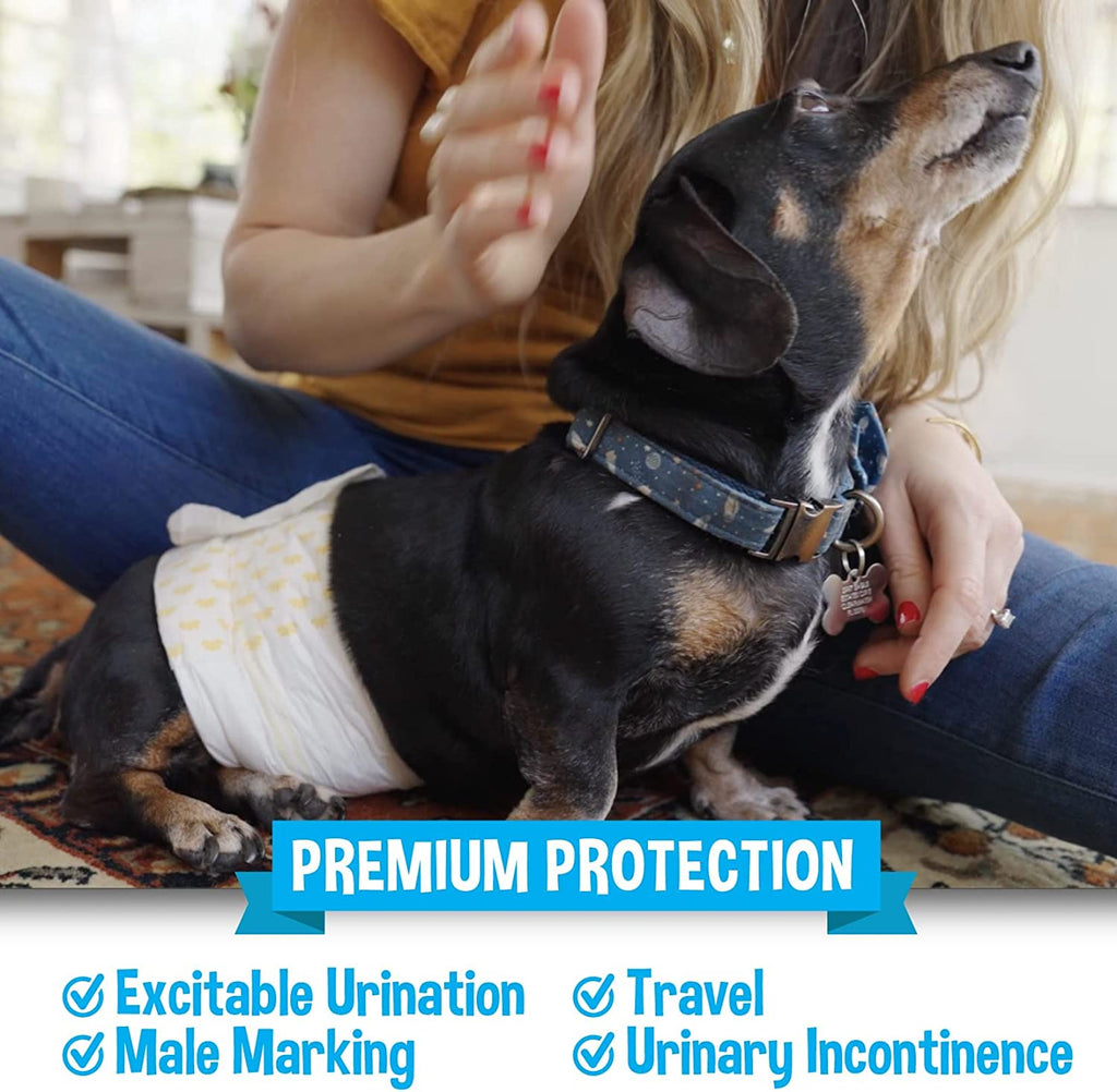 Disposable Male Dog Diapers - Super Absorbent, Leak-Proof Pee Wraps - Adjustable Fit, Comfortable Design, Advanced Moisture Control, and Wetness Indicator - Small (20 Count)