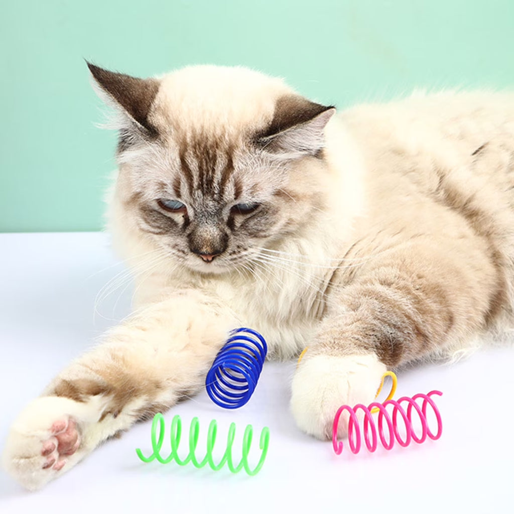 Cat Spring Toys 16Pcs Colorful Cat Coil Toy Durable Plastic Spiral Spring Cat Toy Interactive Cat Toy Creative Cat Activity Toy for Cat Bouncing and Training Fun Gift for Cat Kitten Pets