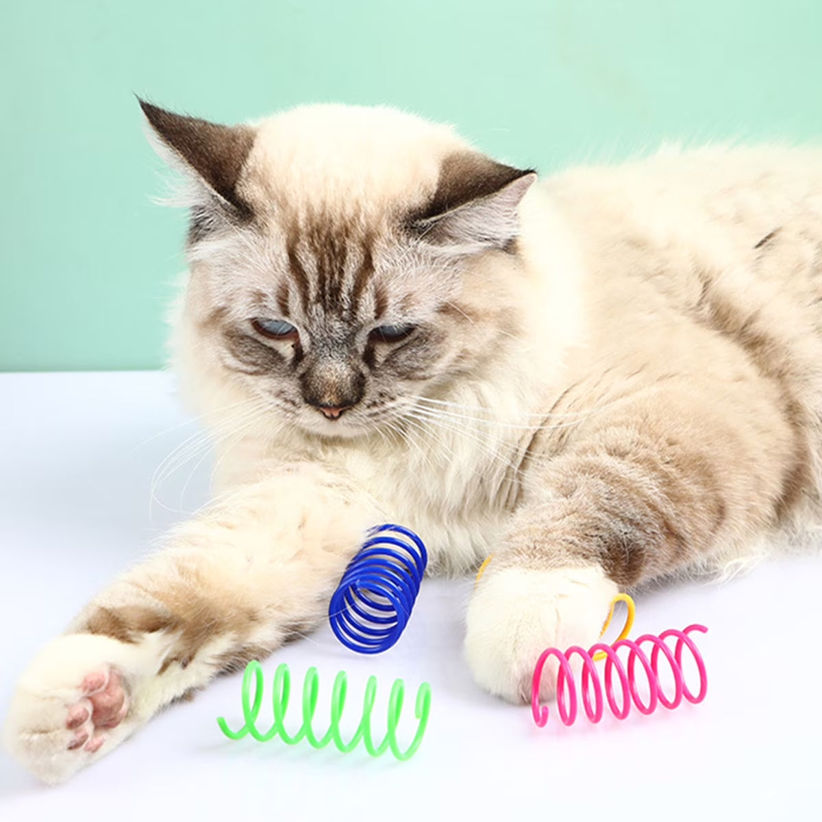Cat Spring Toys 16Pcs Colorful Cat Coil Toy Durable Plastic Spiral Spring Cat Toy Interactive Cat Toy Creative Cat Activity Toy for Cat Bouncing and Training Fun Gift for Cat Kitten Pets