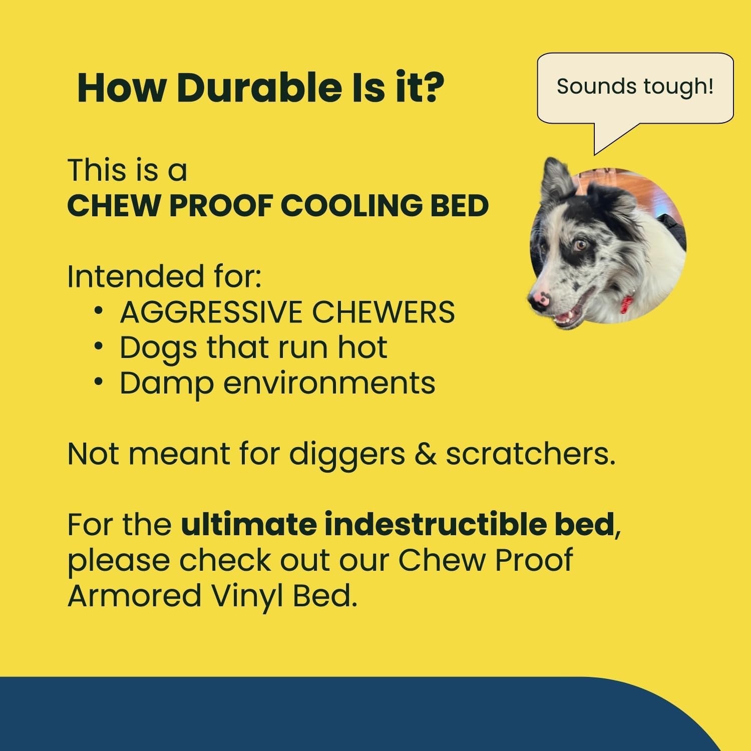 Chew Proof Elevated Cot Bed, L, Black Mesh | Virtually Indestructible Bed for Aggressive Chewers, Comes Preassembled, Indoor/Outdoor/Crate Use, Large: 41" X 27"