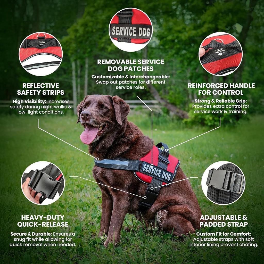 Service Dog Vest with Hook and Loop Straps & Matching Leash Set - Harnesses from XXS to XXL - Service Dog Harness Features Reflective Patch and Comfortable Mesh Design (Pink, XXS) | Durable & Adjustable Vest for Dog, Reflective Straps, Removable Patches, Matching Leash Set, Handle & D-Ring, Daily Use