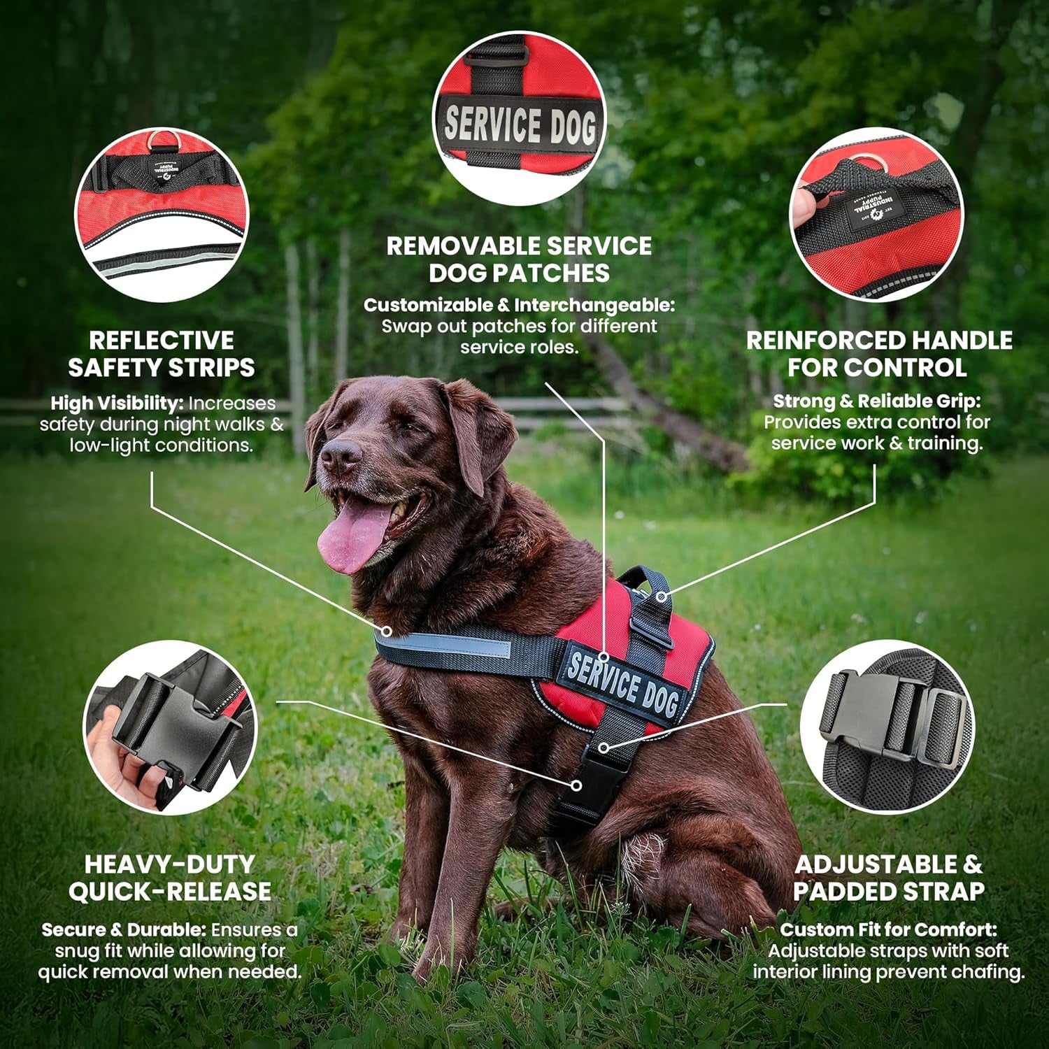 Service Dog Vest with Hook and Loop Straps & Matching Leash Set - Harnesses from XXS to XXL - Service Dog Harness Features Reflective Patch and Comfortable Mesh Design (Pink, XXS) | Durable & Adjustable Vest for Dog, Reflective Straps, Removable Patches, Matching Leash Set, Handle & D-Ring, Daily Use