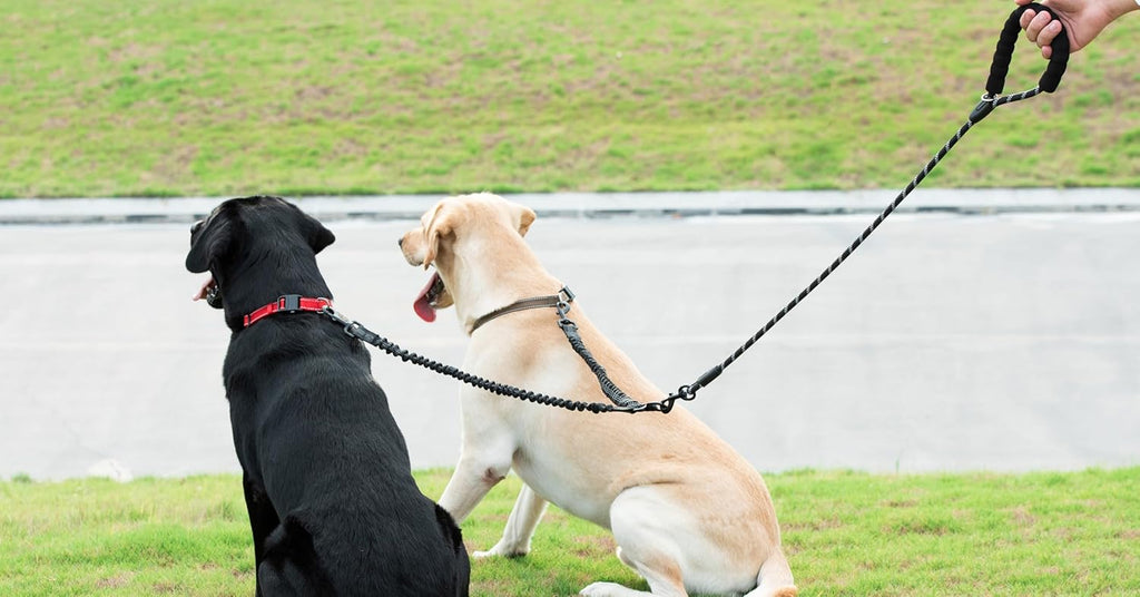 Double Dog Leash, 360° Swivel, No Tangle, Large, 25-150 Lbs, Black | Dual Leash for Two Dogs, Split Leash, Shock-Absorbing Bungee, Padded Handle, Heavy-Duty Rope