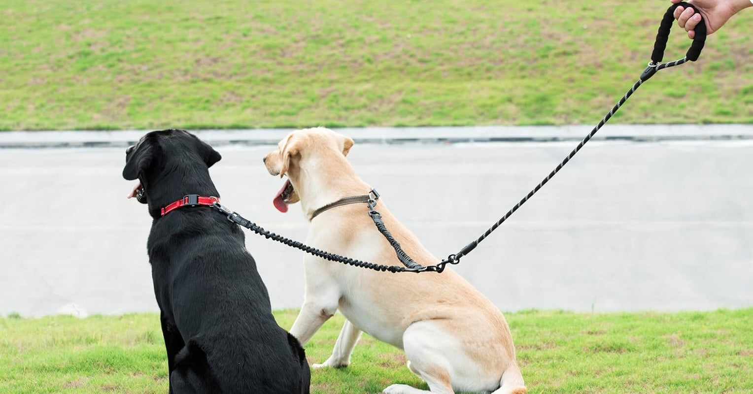 Double Dog Leash, 360° Swivel, No Tangle, Large, 25-150 Lbs, Black | Dual Leash for Two Dogs, Split Leash, Shock-Absorbing Bungee, Padded Handle, Heavy-Duty Rope