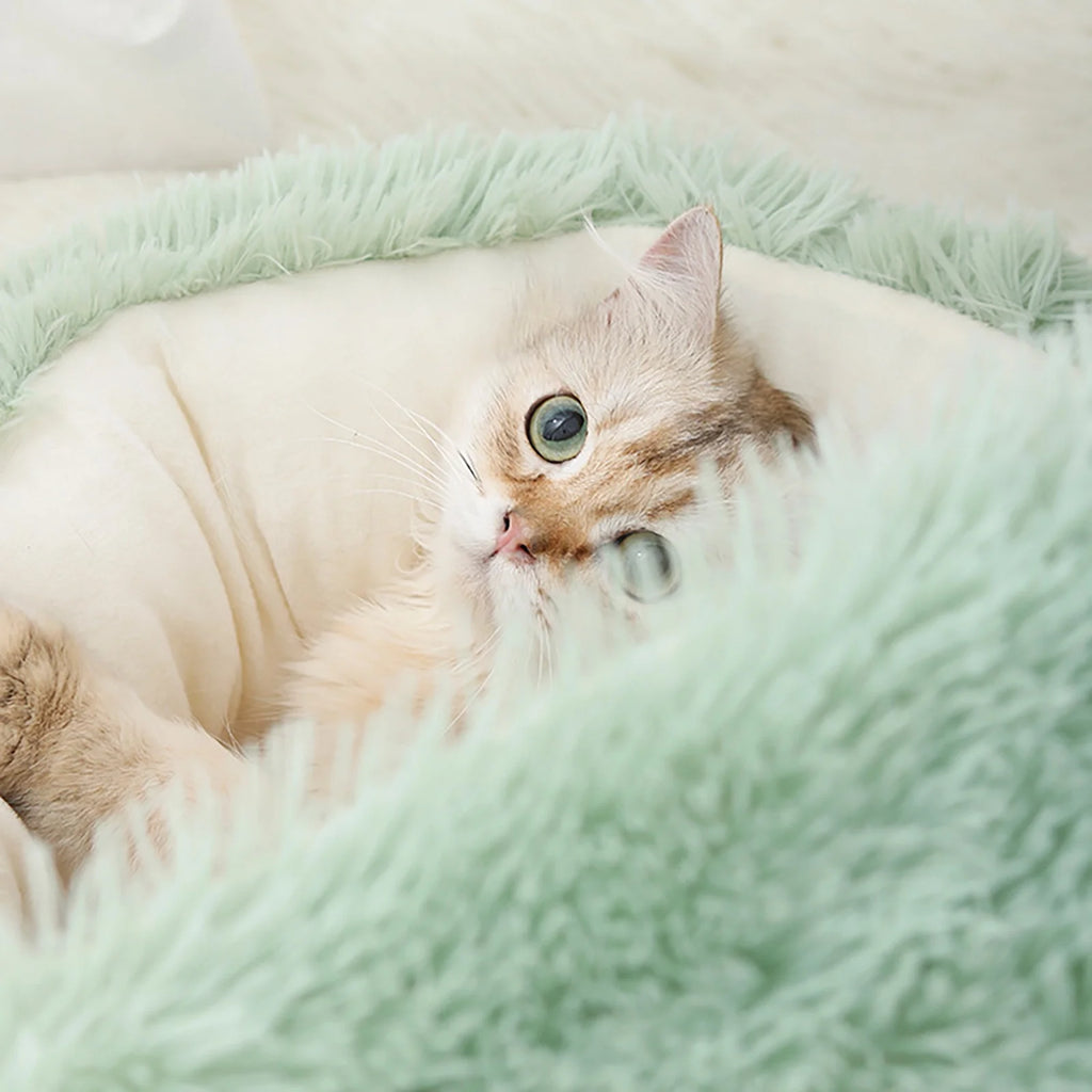 Calming Dog Beds and Cat Cave Bed with Hooded Cover,Removable Washable round Beds for Small Medium Pets,Anti-Slip Faux Fur Fluffy Coved Bed for Improved Sleep,Fits up to 11 Lbs