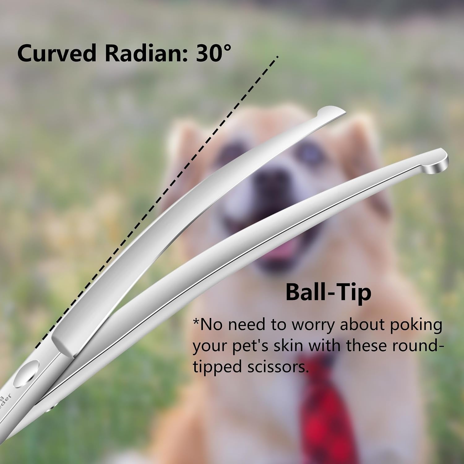 Curved Dog Grooming Scissors with Safety round Tips, 6.5 Inch. | Lightweight, No Stabbing with Blunt Tip, 440C Stainless Steel, Sharp, Friendly to Amateur.
