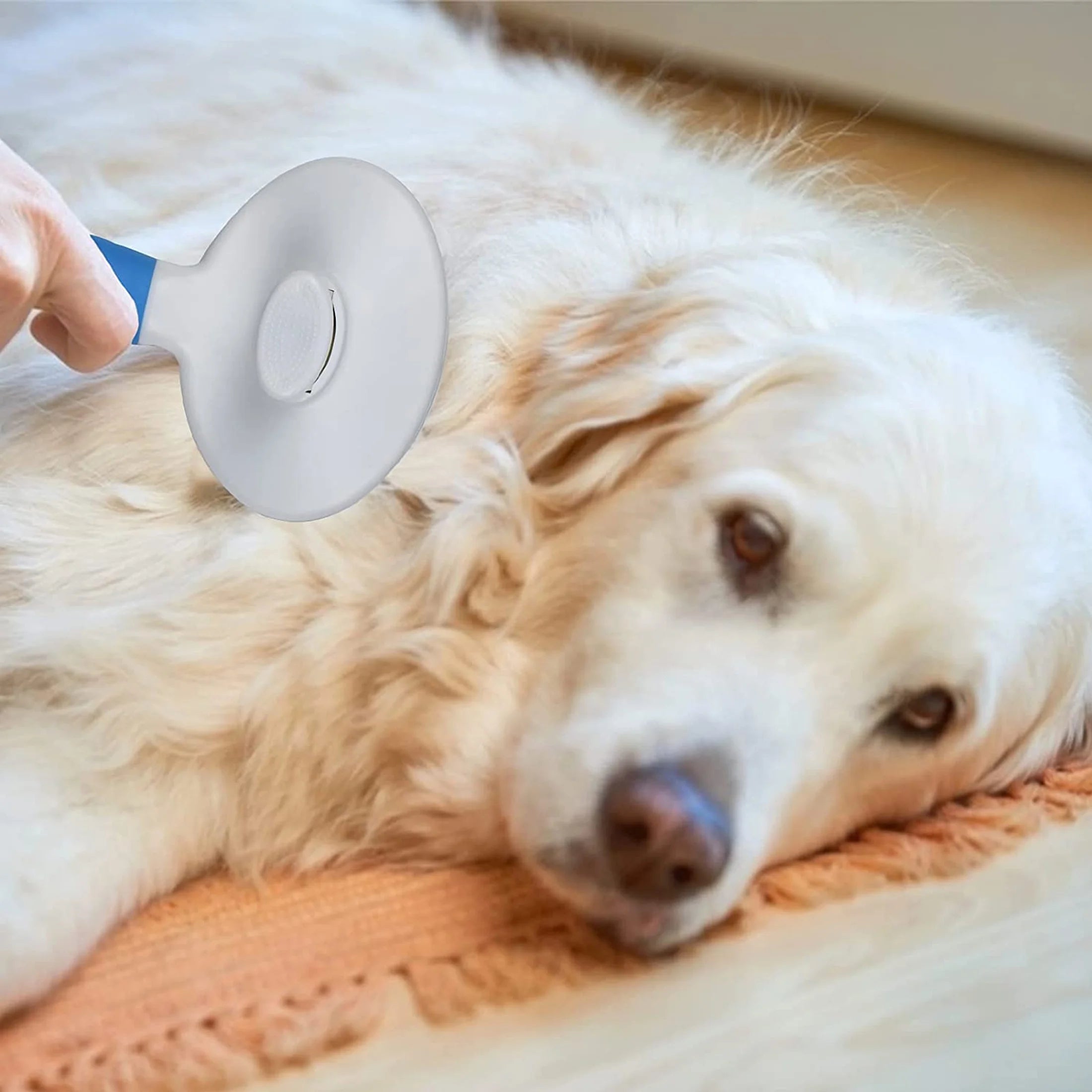 Self Cleaning Slicker Brush, Dog Cat Bunny Pet Grooming Shedding Brush - Easy to Remove Loose Undercoat, Pet Massaging Tool Suitable for Pets with Long or Short Hair