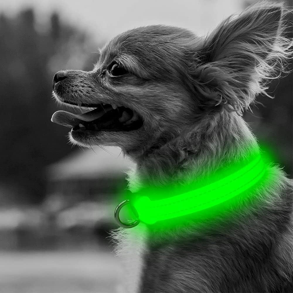 Adjustable LED Dog & Cat Collar - Rechargeable, Small Breeds, Green, 8.5-11.8 Inches, Nylon, Lightweight, Reflective, 2 Flash Modes | Glow in the Dark Rechargeable Reflective Adjustable Flashing Illuminous Safety Dog Lights for Night Walking