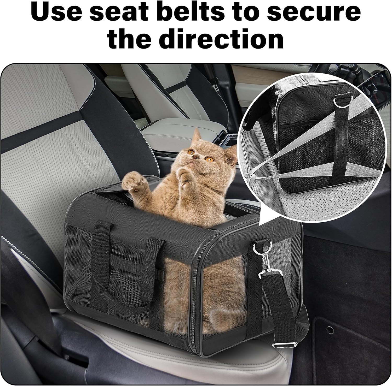 Pet Travel Carrier Soft Sided Portable Bag for Cats, Small Dogs, Kittens or Puppies, Collapsible, Durable, Airline Approved, Travel Friendly (Grey, 17.0" L X 10.0" W X 11.0" H) (Black)