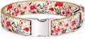 Pet Supplies, (Summer Blooms) Cat Collar, Dog Collar, Cat Leash, Dog Leash, Small Dog Collar, Medium Dog Collar, Large Dog Collar (Pet Collar, M)