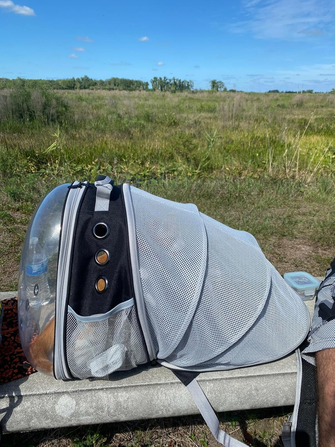 Back Expandable Cat Backpack Carrier, Fit up to 12 Lbs, Space Capsule Bubble Window Pet Carrier Backpack to Carry and Transport Cat Bunny Small Puppy