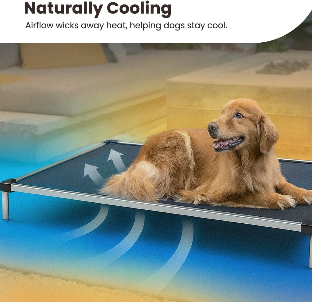 Chew Proof Elevated Cot Bed, L, Black Mesh | Virtually Indestructible Bed for Aggressive Chewers, Comes Preassembled, Indoor/Outdoor/Crate Use, Large: 41" X 27"