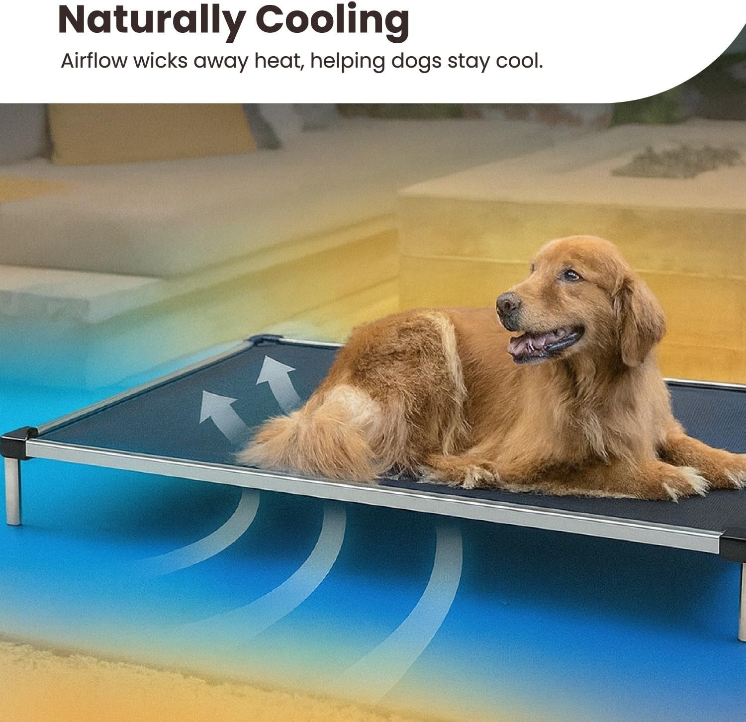 Chew Proof Elevated Cot Bed, L, Black Mesh | Virtually Indestructible Bed for Aggressive Chewers, Comes Preassembled, Indoor/Outdoor/Crate Use, Large: 41" X 27"