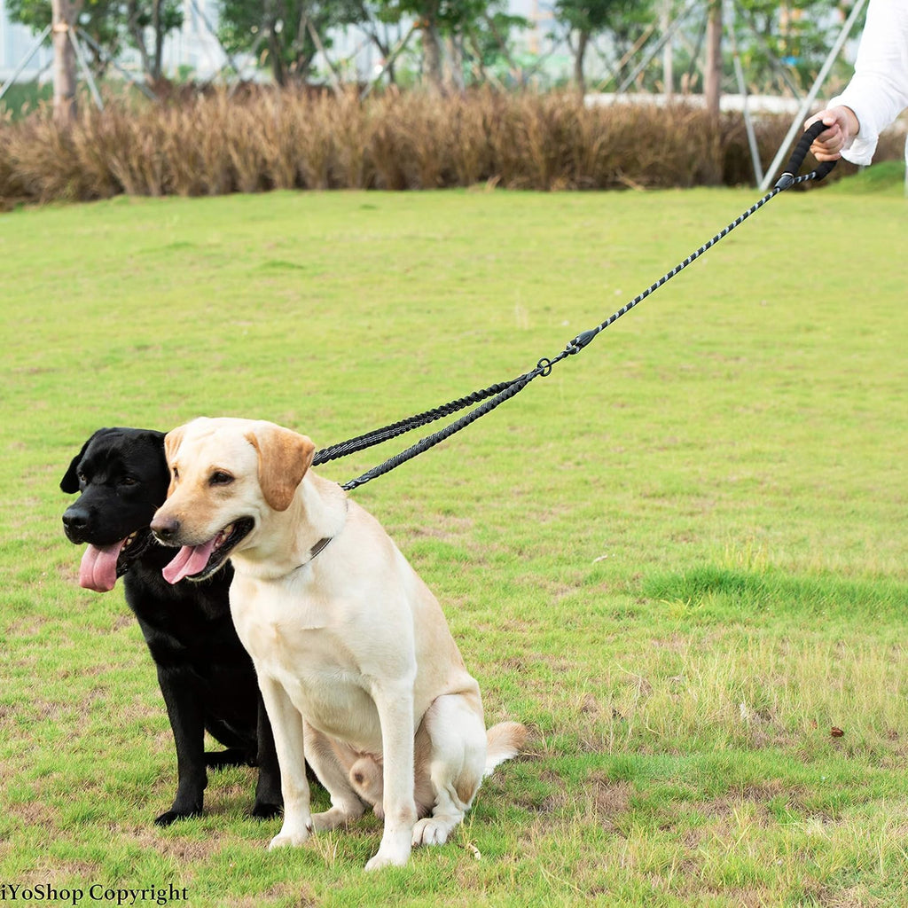 Double Dog Leash, 360° Swivel, No Tangle, Large, 25-150 Lbs, Black | Dual Leash for Two Dogs, Split Leash, Shock-Absorbing Bungee, Padded Handle, Heavy-Duty Rope
