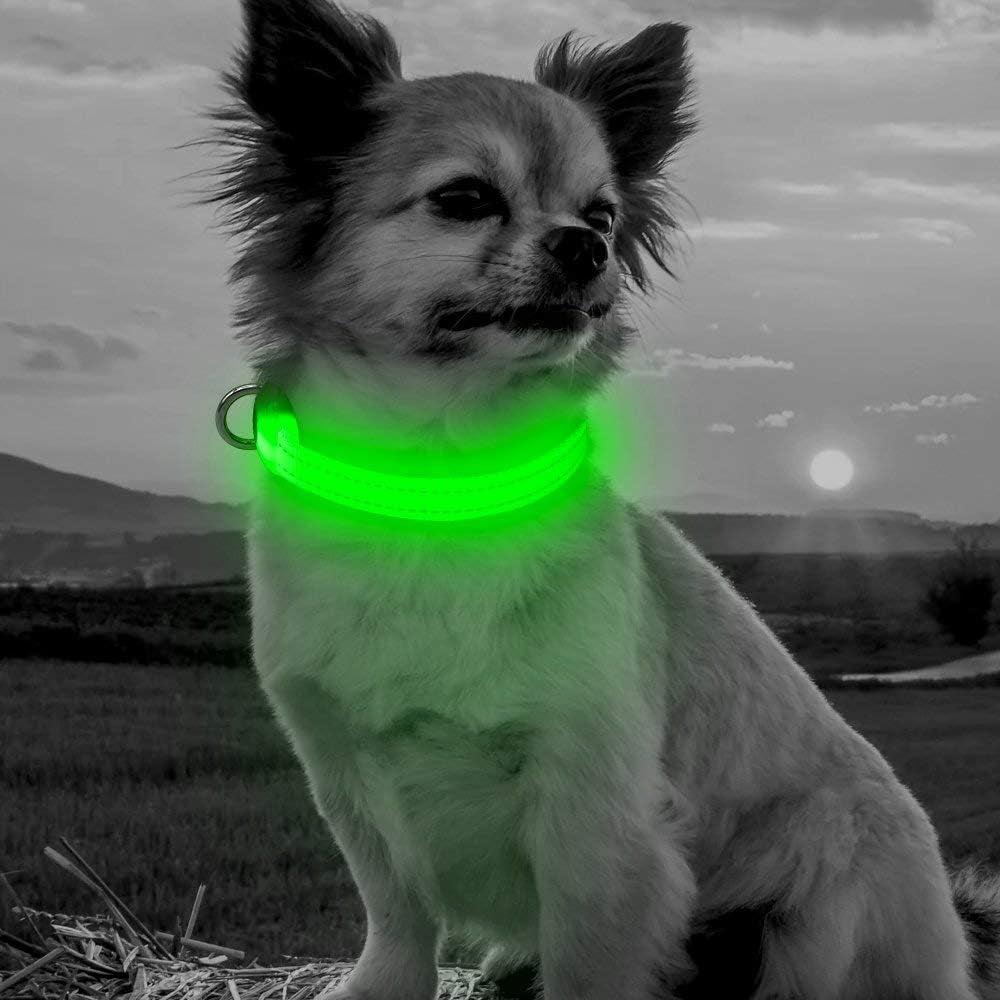 Adjustable LED Dog & Cat Collar - Rechargeable, Small Breeds, Green, 8.5-11.8 Inches, Nylon, Lightweight, Reflective, 2 Flash Modes | Glow in the Dark Rechargeable Reflective Adjustable Flashing Illuminous Safety Dog Lights for Night Walking