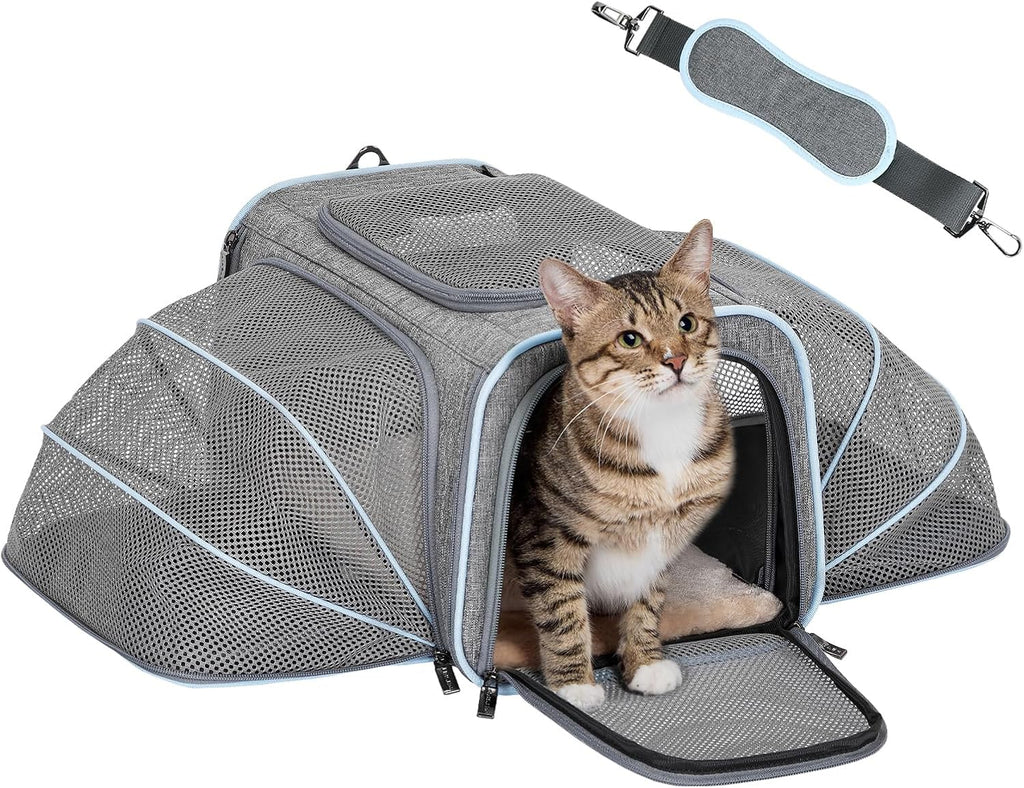 Small Double Expandable Cat Carrier for Kittens and Air Travel | 16 X 10 X 9 In; Sized for Alaska Airlines, with Locking Zippers, an Interior Safety Tether and Multi-Side Ventilation.