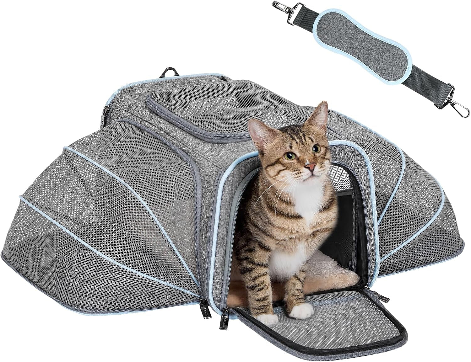 Small Double Expandable Cat Carrier for Kittens and Air Travel | 16 X 10 X 9 In; Sized for Alaska Airlines, with Locking Zippers, an Interior Safety Tether and Multi-Side Ventilation.