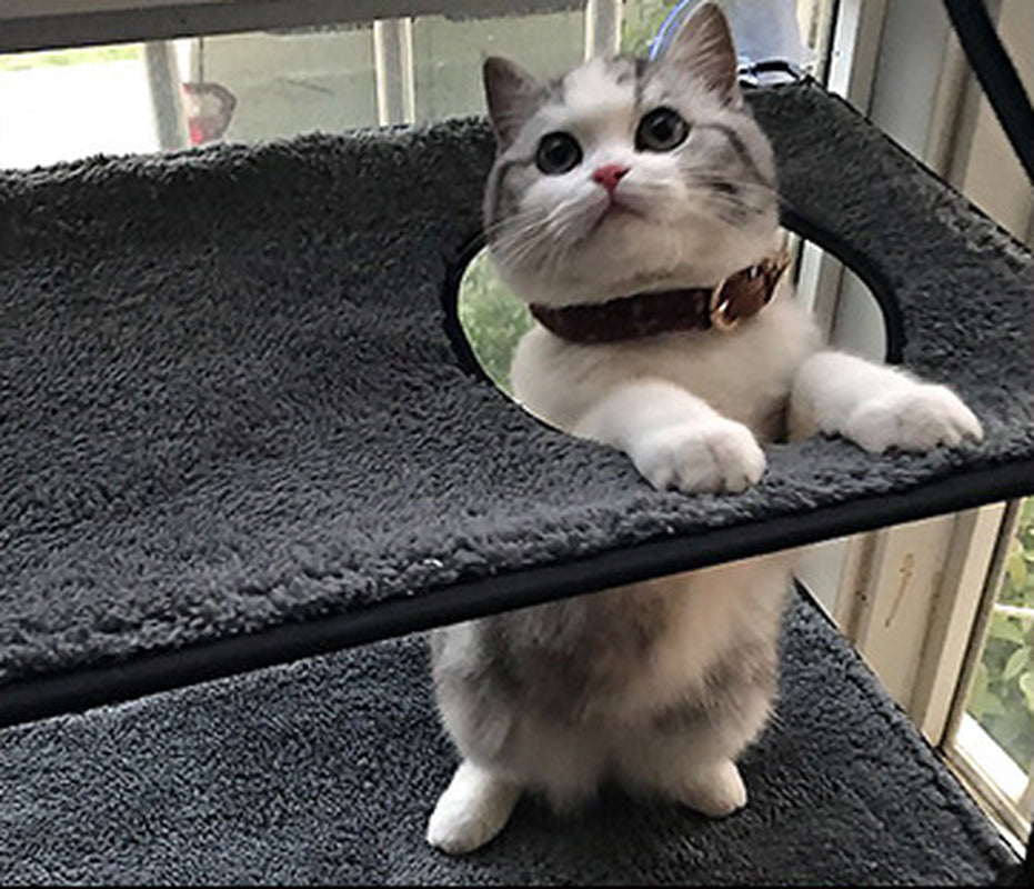 Cat Bed Cat Hammock Cat Hammock Removable and Washable Super Suction Cup Cat Pad Window Sill Cat Litter