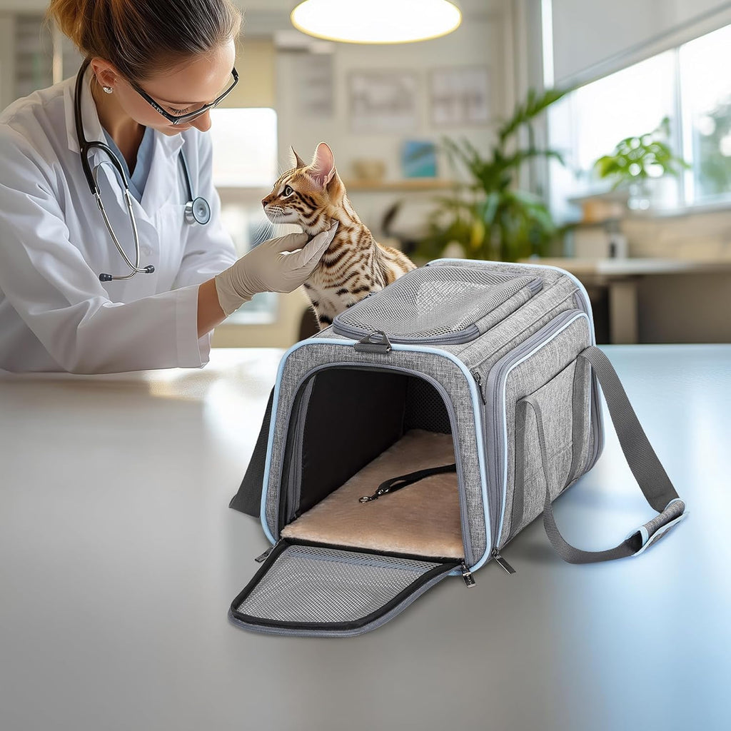 Small Double Expandable Cat Carrier for Kittens and Air Travel | 16 X 10 X 9 In; Sized for Alaska Airlines, with Locking Zippers, an Interior Safety Tether and Multi-Side Ventilation.