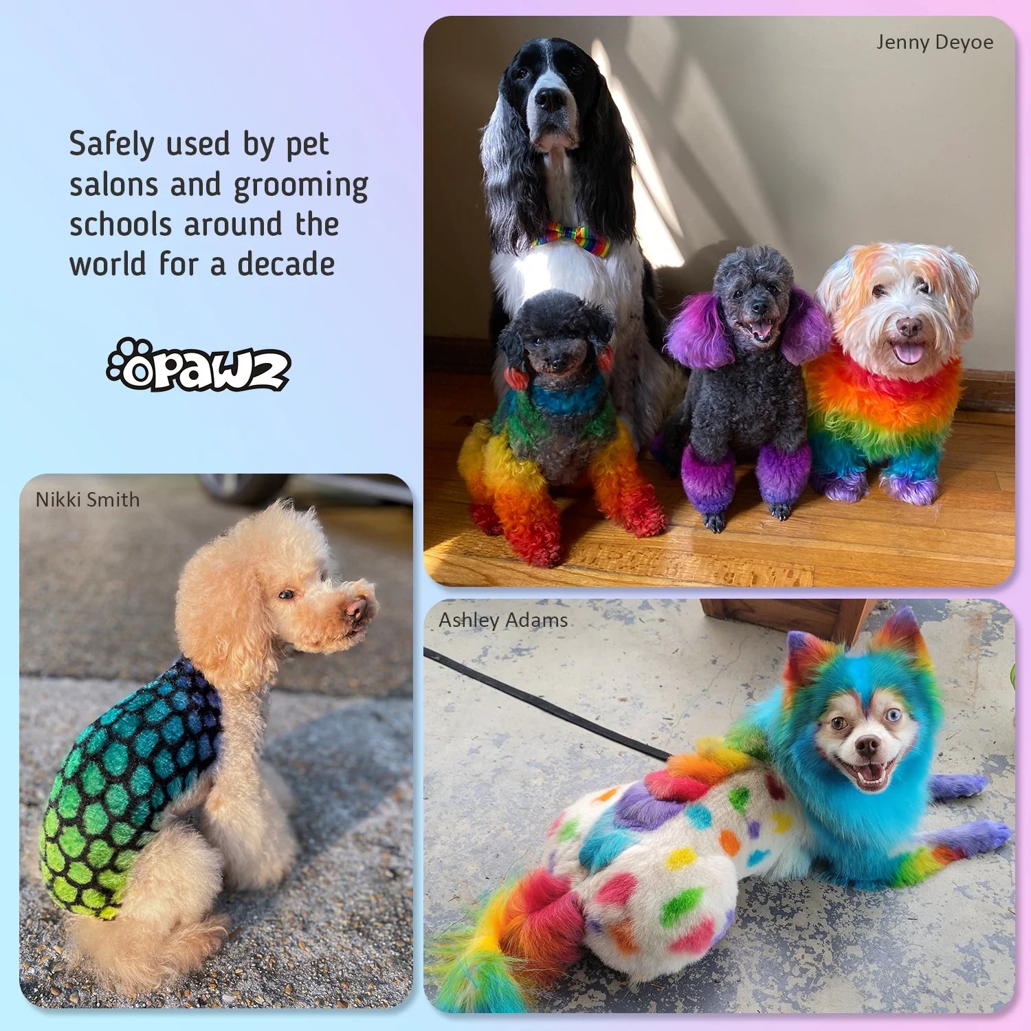 Permanent Dog Hair Dye, Pet Hair Dye Safely Used by Grooming Salons for a Decade, Pet Safe Dye Lasts over 20 Washes, Bright Color for Dogs and Horses (Ardent Orange)