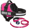 Service Dog Vest with Hook and Loop Straps & Matching Leash Set - Harnesses from XXS to XXL - Service Dog Harness Features Reflective Patch and Comfortable Mesh Design (Pink, XXS) | Durable & Adjustable Vest for Dog, Reflective Straps, Removable Patches, Matching Leash Set, Handle & D-Ring, Daily Use