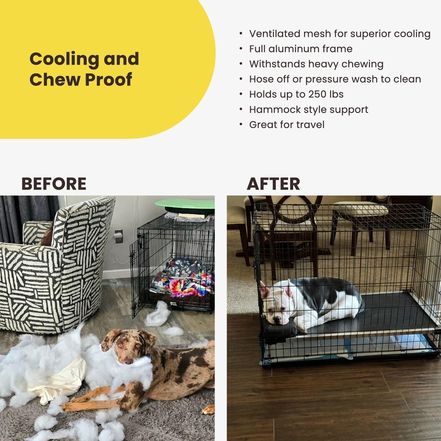 Chew Proof Elevated Cot Bed, L, Black Mesh | Virtually Indestructible Bed for Aggressive Chewers, Comes Preassembled, Indoor/Outdoor/Crate Use, Large: 41" X 27"