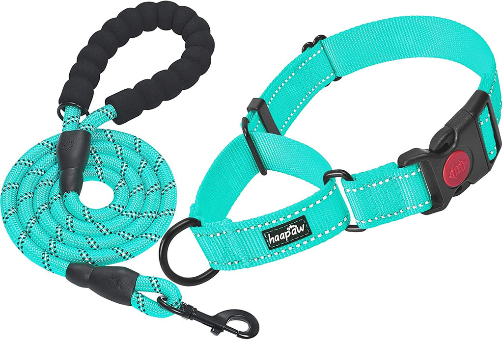 Martingale Dog Collar with Quick Release Buckle Reflective Dog Training Collars for Small Medium Large Dogs