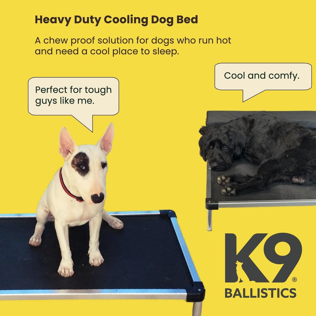 Chew Proof Elevated Cot Bed, L, Black Mesh | Virtually Indestructible Bed for Aggressive Chewers, Comes Preassembled, Indoor/Outdoor/Crate Use, Large: 41" X 27"