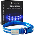 Light up Dog Collar - the Original LED Dog Collar - USB Rechargeable - Waterproof - 1,000 Feet of Visibility - Dog Collar Light for Small, Medium, Large Dogs - USA Brand