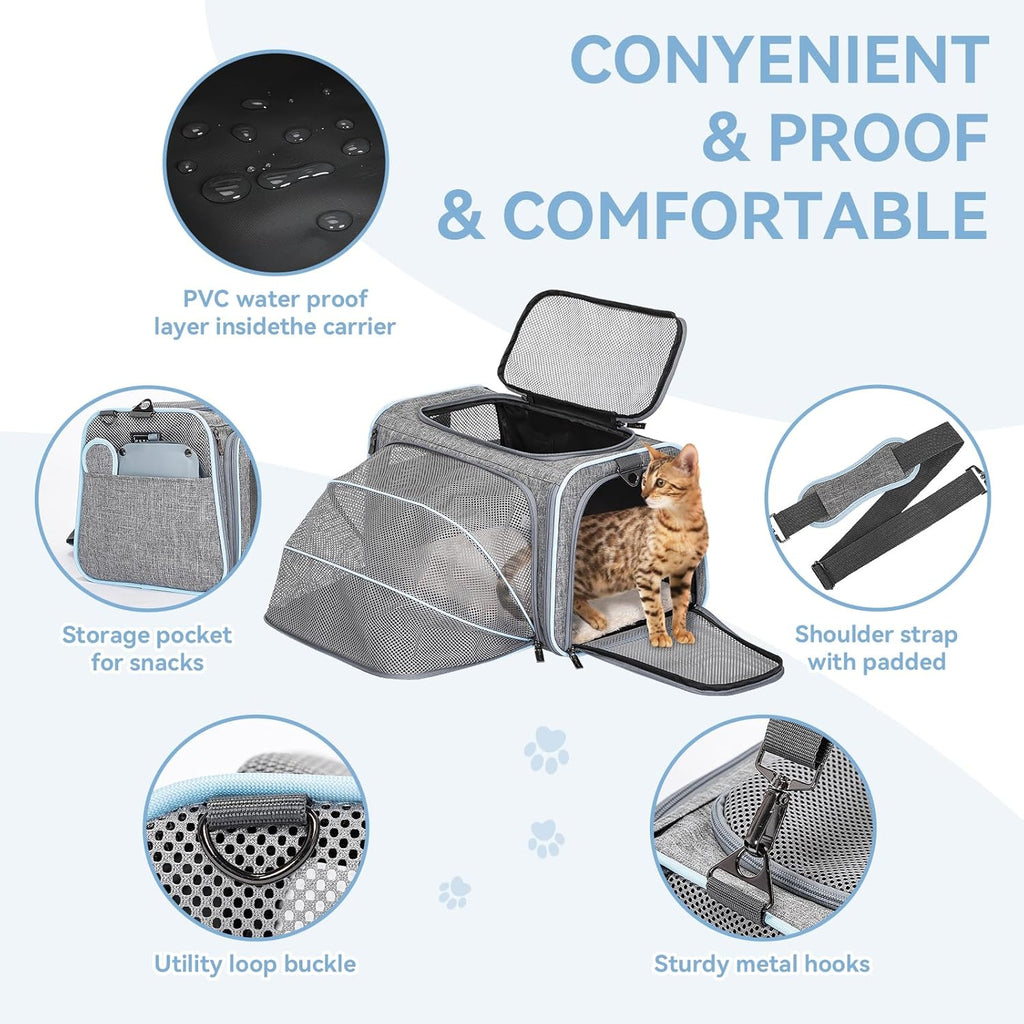 Small Double Expandable Cat Carrier for Kittens and Air Travel | 16 X 10 X 9 In; Sized for Alaska Airlines, with Locking Zippers, an Interior Safety Tether and Multi-Side Ventilation.