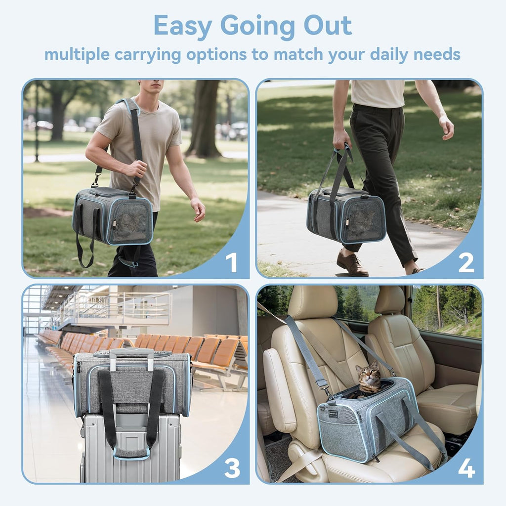 Small Double Expandable Cat Carrier for Kittens and Air Travel | 16 X 10 X 9 In; Sized for Alaska Airlines, with Locking Zippers, an Interior Safety Tether and Multi-Side Ventilation.