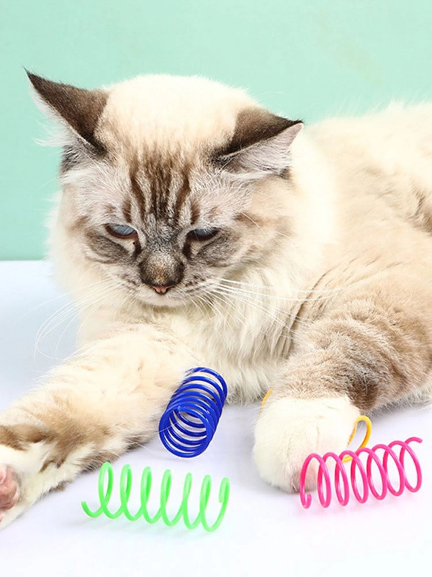 Cat Spring Toys 16Pcs Colorful Cat Coil Toy Durable Plastic Spiral Spring Cat Toy Interactive Cat Toy Creative Cat Activity Toy for Cat Bouncing and Training Fun Gift for Cat Kitten Pets