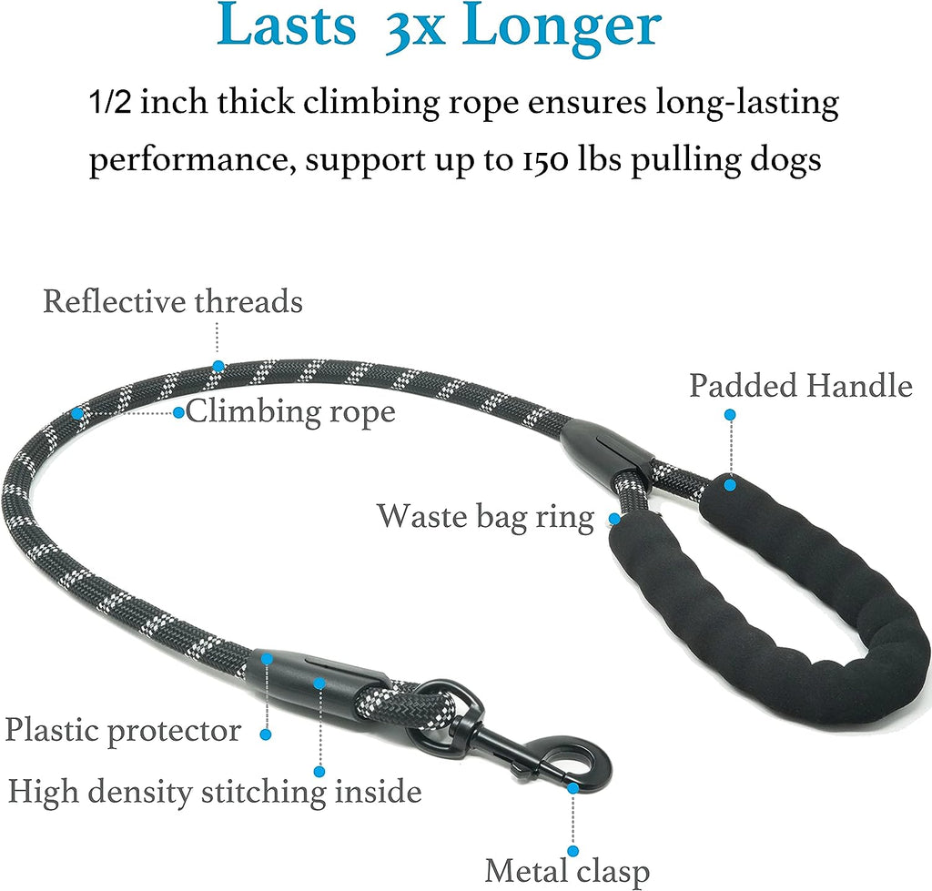 Double Dog Leash, 360° Swivel, No Tangle, Large, 25-150 Lbs, Black | Dual Leash for Two Dogs, Split Leash, Shock-Absorbing Bungee, Padded Handle, Heavy-Duty Rope